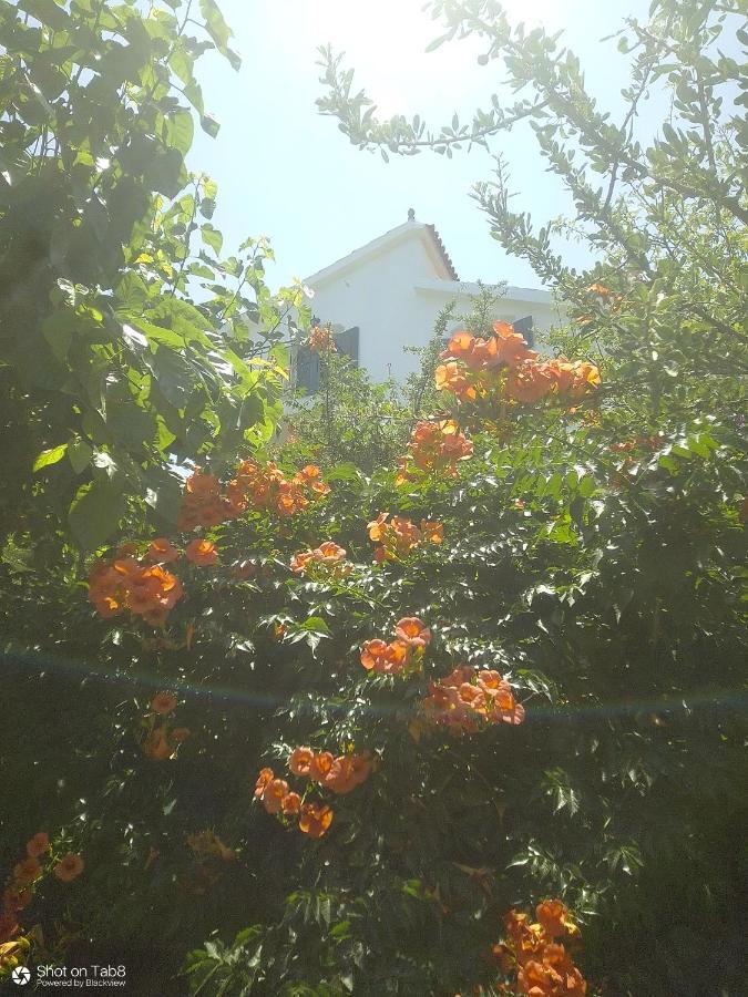 Sirens Kalami Villa Kalami  Bagian luar foto